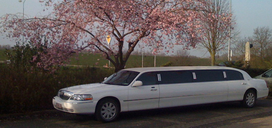 Lincoln White Limousine (Lincoln Limo)